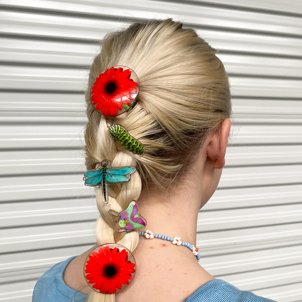 Critter Pack Clips Shop Chunks